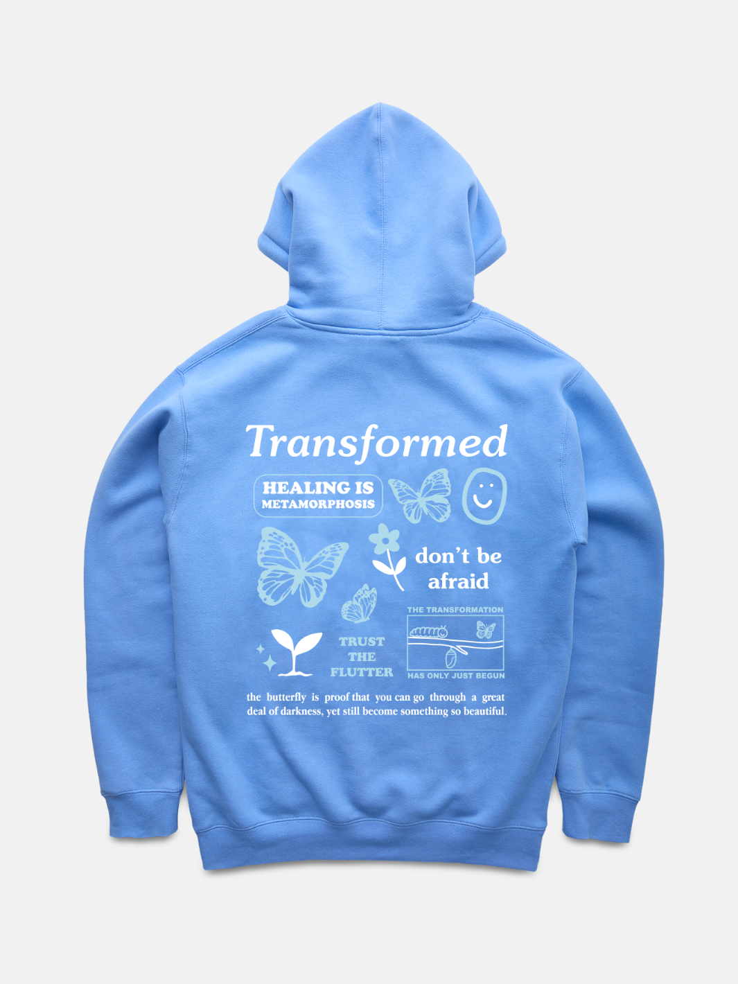 美品　 ECONOMICS EXPERIMENT hoodie L ECL Hoodie – Alex Tells Jokes