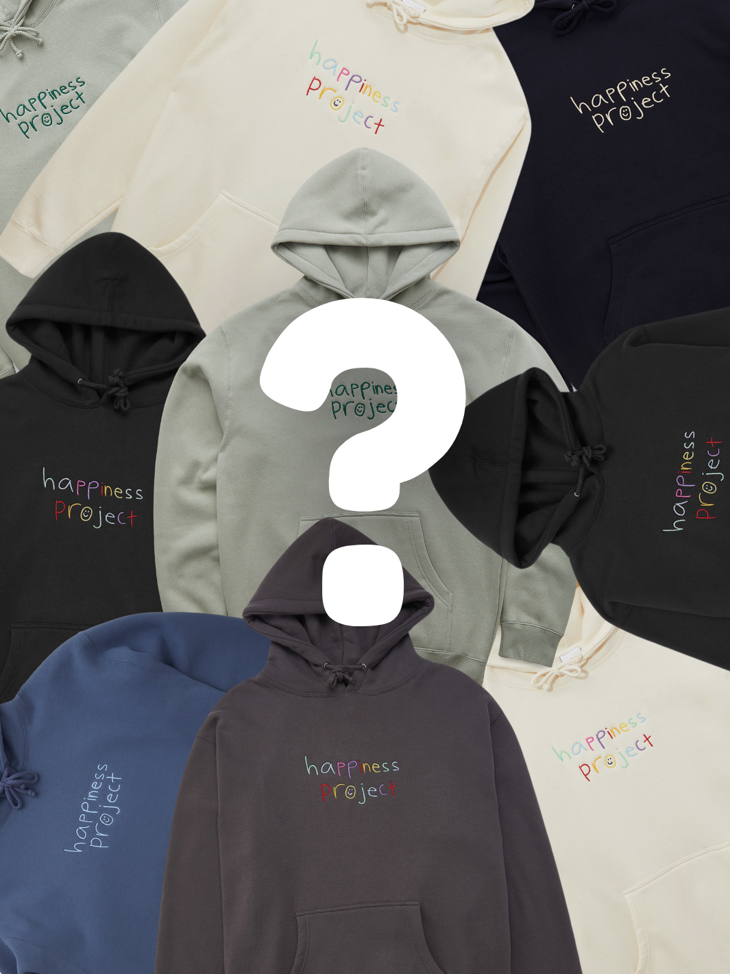 Mystery Hoodie