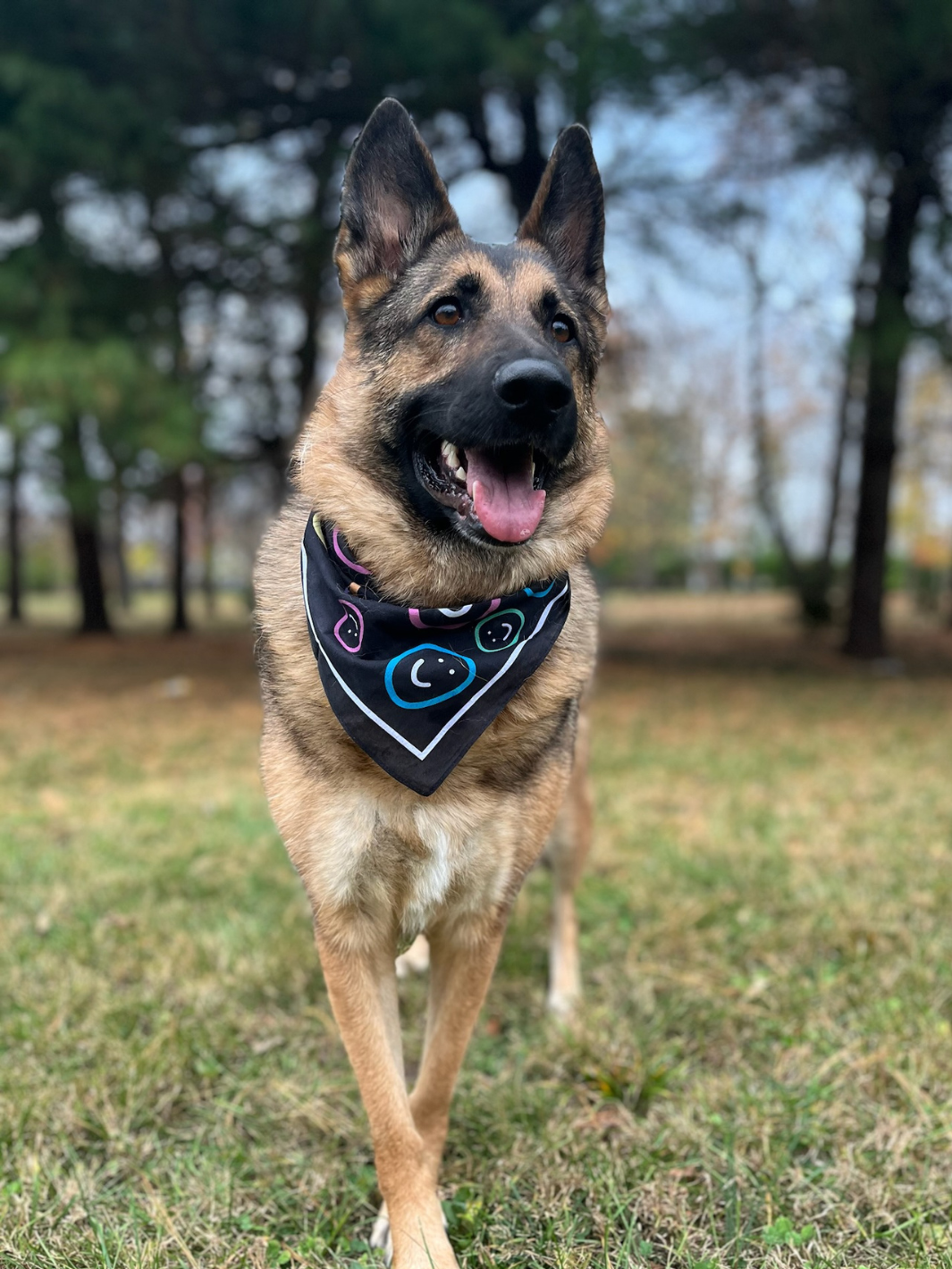 Happiness Pet Bandana