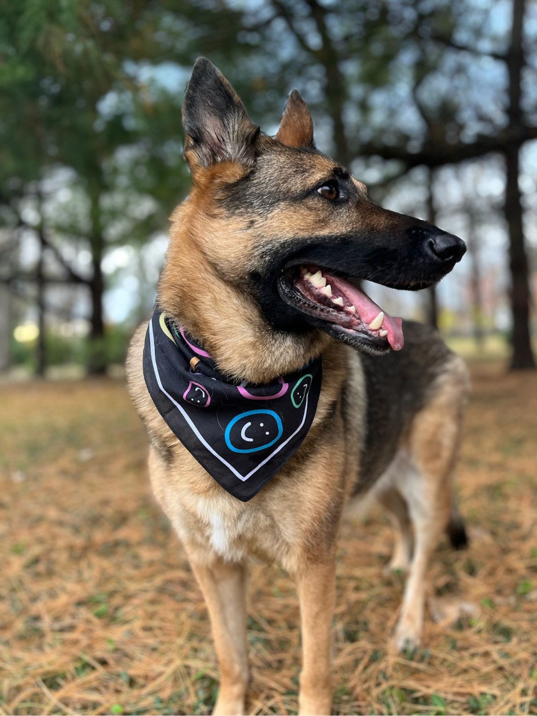 Happiness Bandana